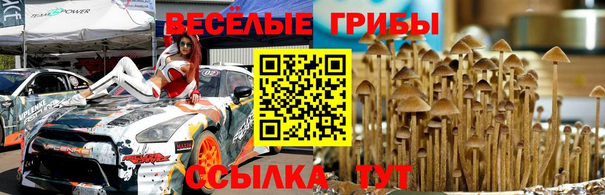 Галлюциногенные грибы прущие грибы  Вход с VPN  Бугульма 